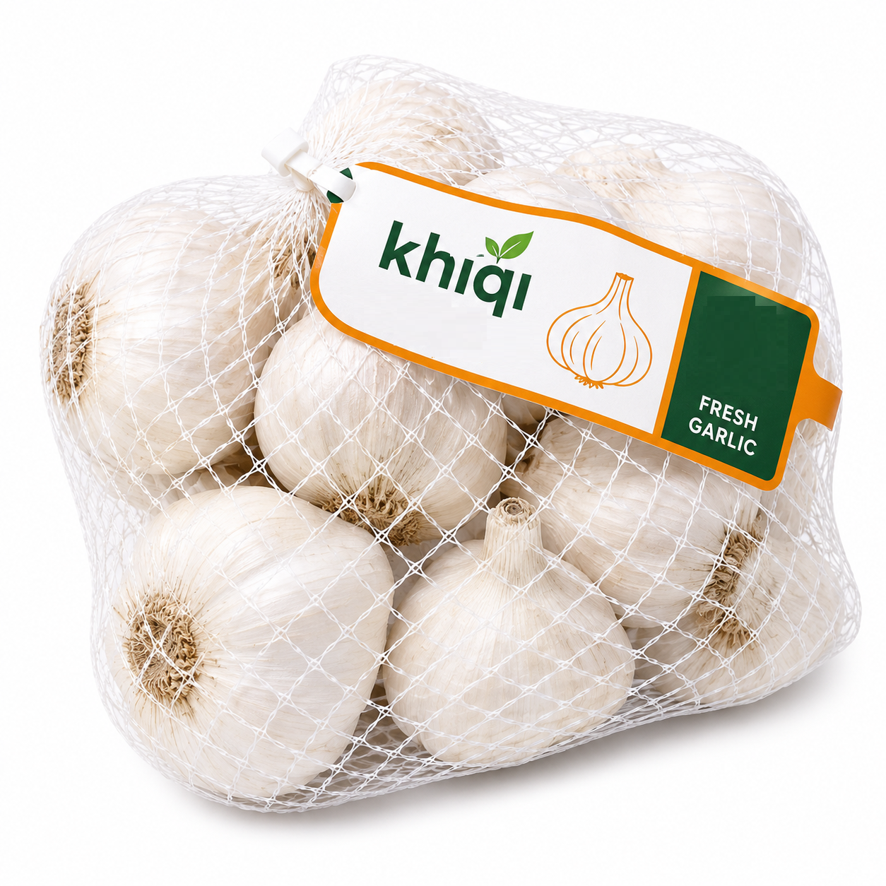 Garlic